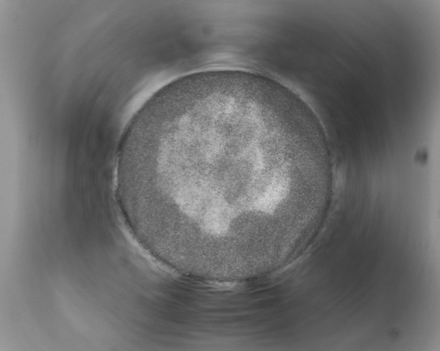 X0000111681415200908281124