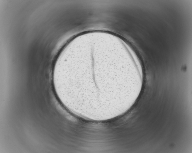 X0000111681416200908281124