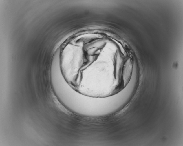 X0000111681417200908281124