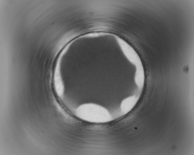 X0000111681418200908281124