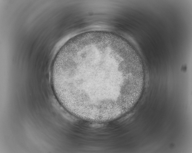 X0000111681419200908281124