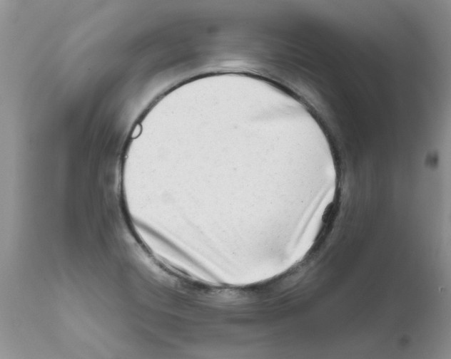 X0000111681420200908281124