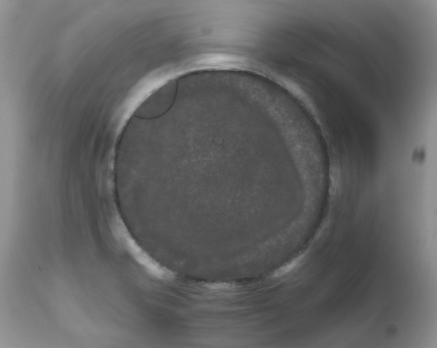 X0000111681421200908281124