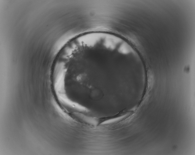 X0000111681422200908281124