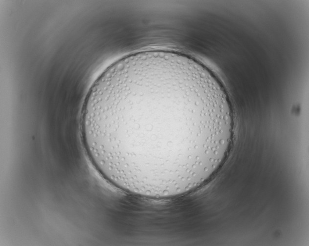 X0000111681423200908281124