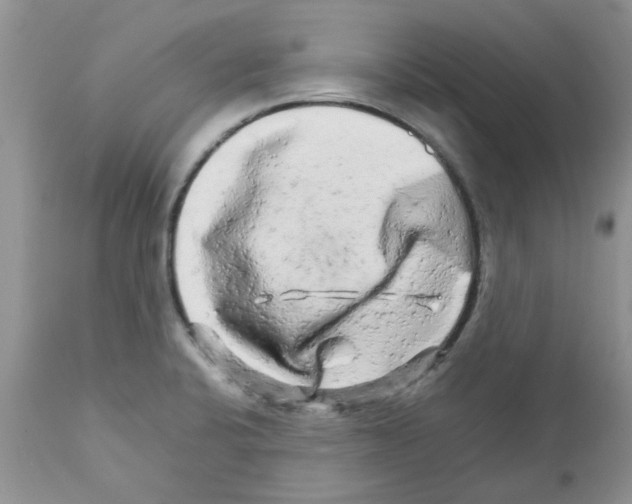 X0000111681424200908281124