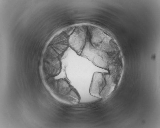 X0000111681425200908281124