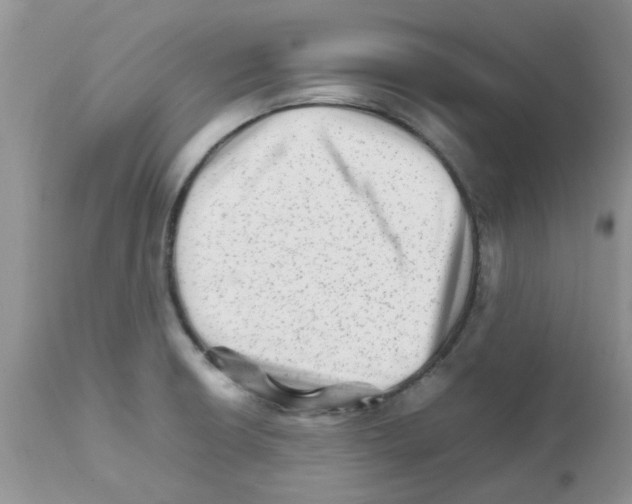 X0000111681426200908281124