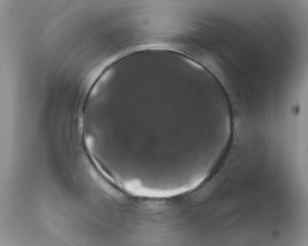 X0000111681428200908281124