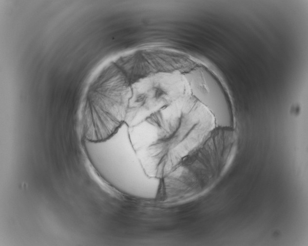 X0000111681429200908281124