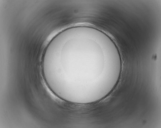 X0000111681430200908281125