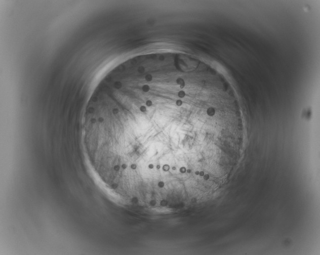 X0000111681431200908281125