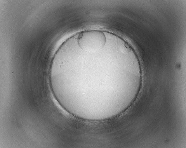 X0000111681432200908281125