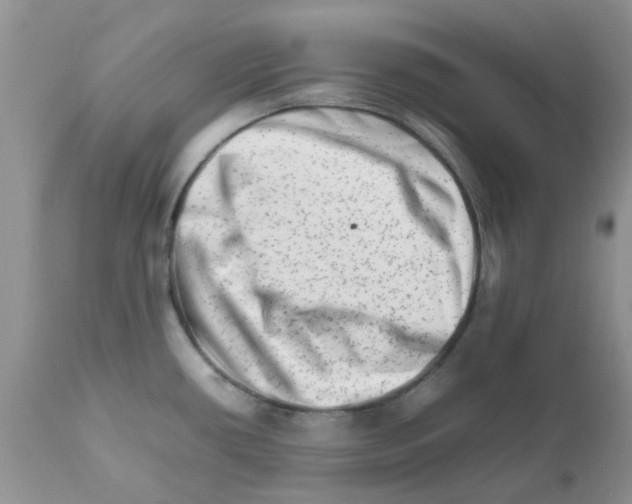 X0000111681434200908281125