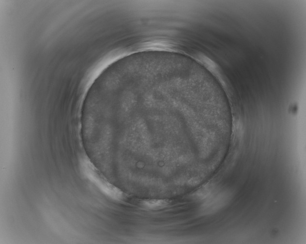 X0000111681435200908281125