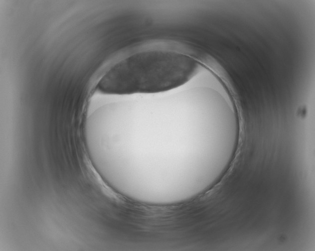 X0000111681436200908281125