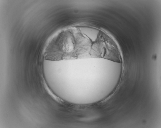 X0000111681437200908281125