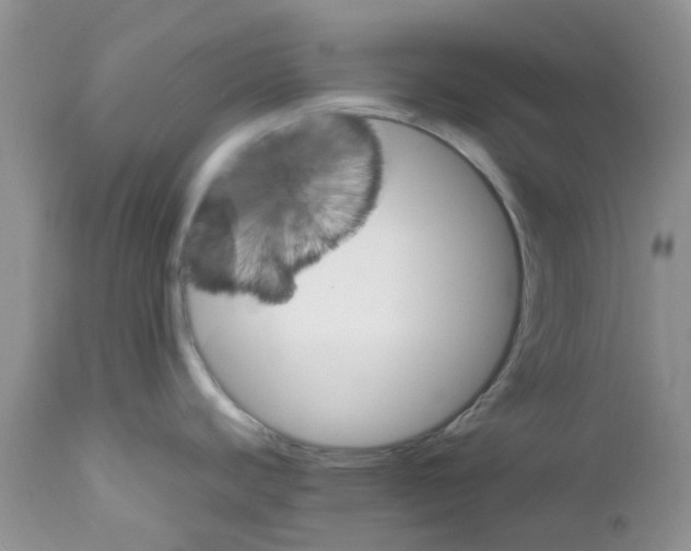 X0000111681440200908281125