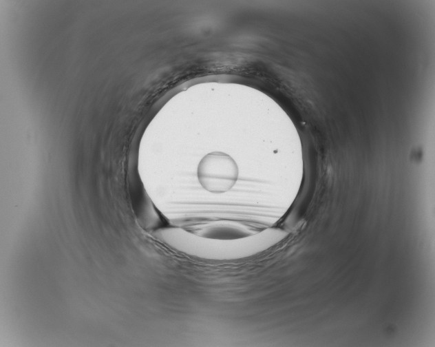 X0000111681441200908281124