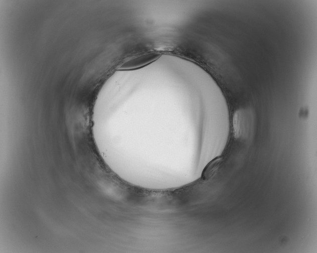 X0000111681443200908281124