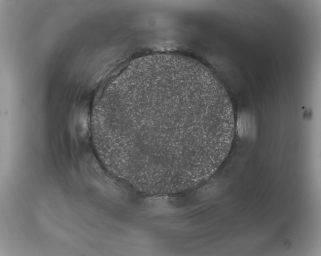 X0000111681444200908281124