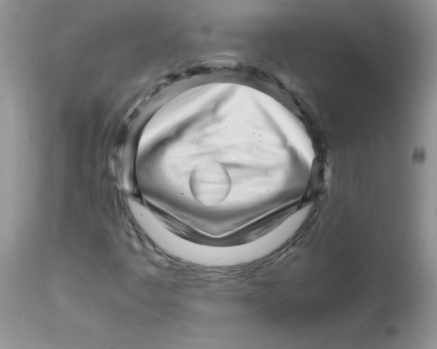 X0000111681445200908281124