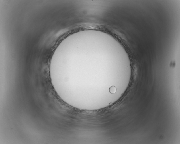 X0000111681446200908281124