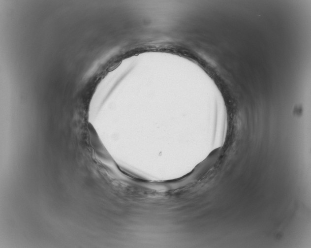 X0000111681447200908281124