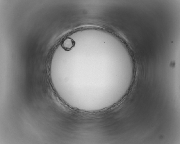 X0000111681448200908281124