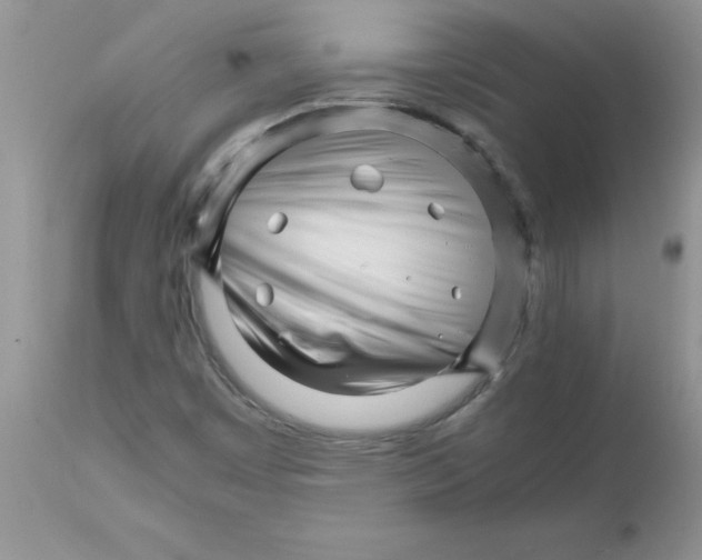 X0000111681449200908281124