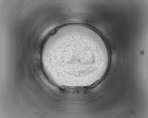 X0000111681450200908281124