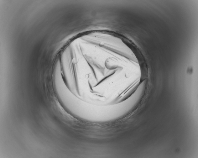 X0000111681452200908281124