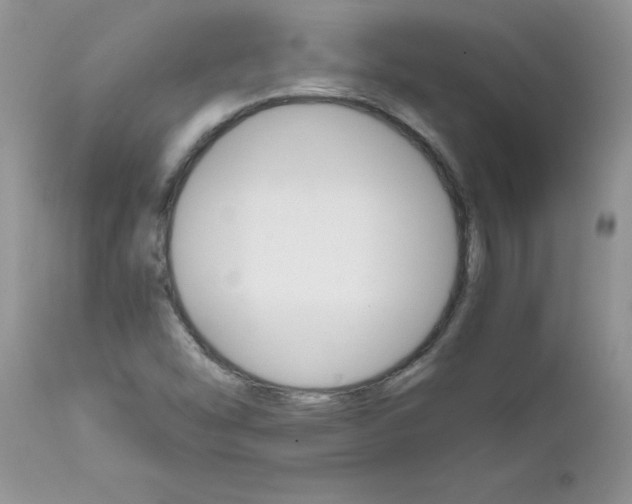 X0000111681454200908281124