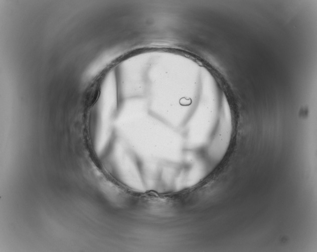 X0000111681456200908281124