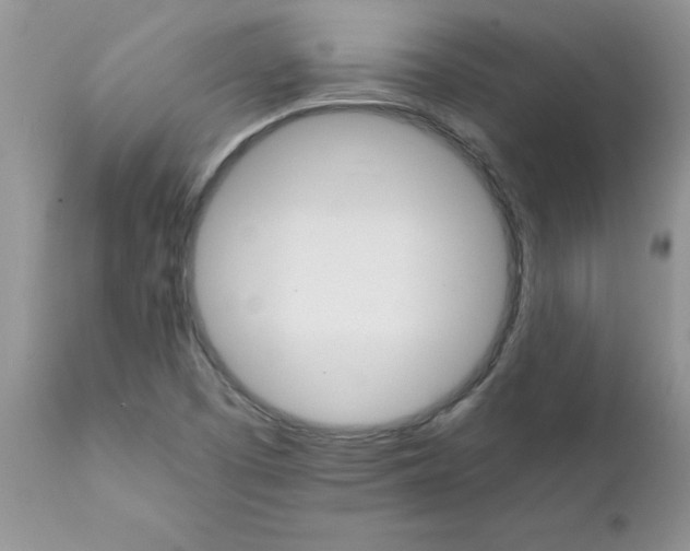 X0000111681457200908281124