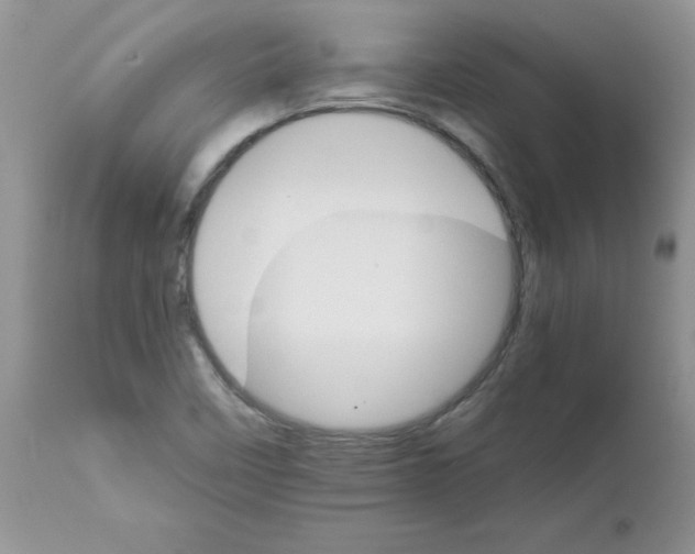 X0000111681458200908281124