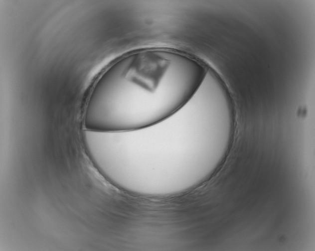 X0000111681460200908281124