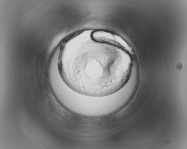 X0000111681461200908281124