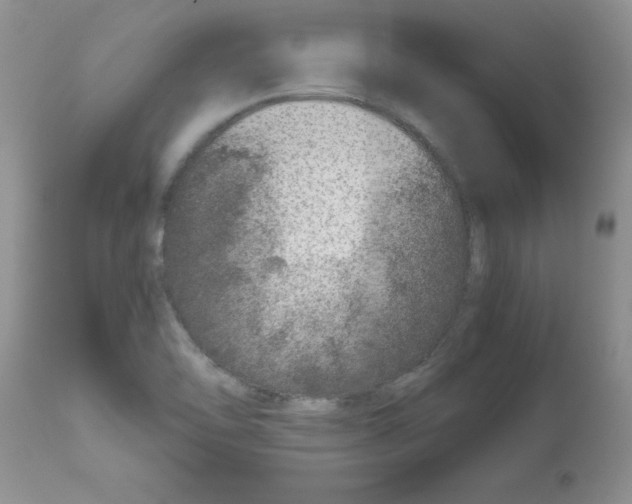 X0000111681462200908281124