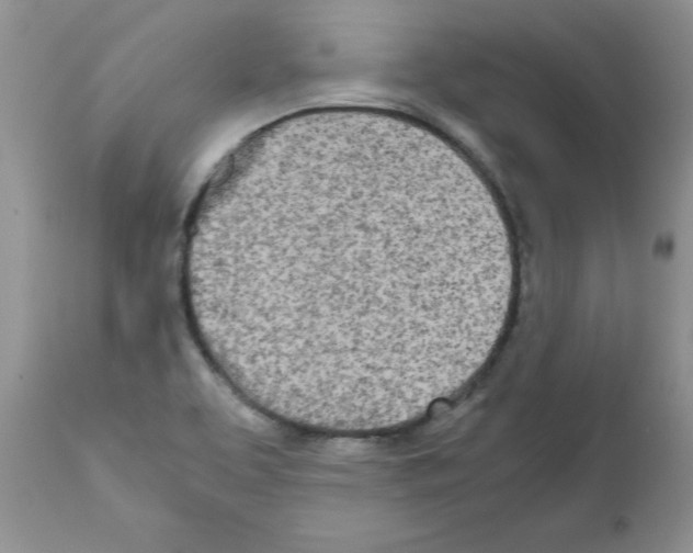 X0000111681463200908281124