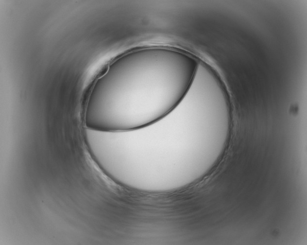 X0000111681464200908281123