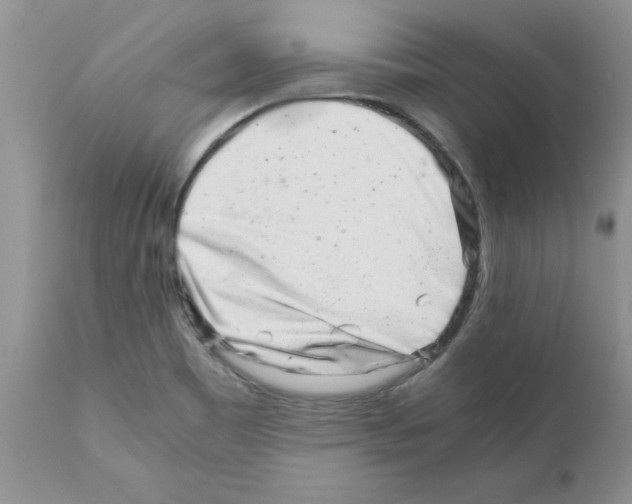 X0000111681465200908281123