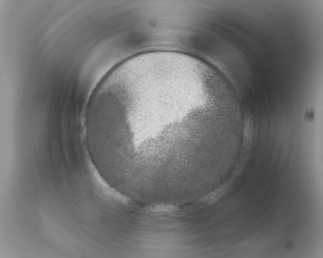 X0000111681466200908281123