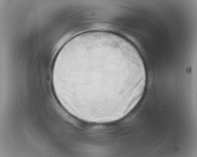 X0000111681467200908281123