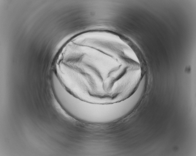 X0000111681468200908281123