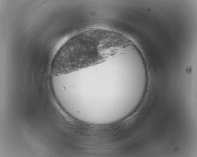 X0000111681469200908281123