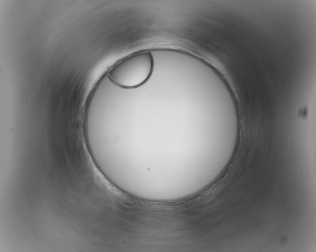 X0000111681472200908281123