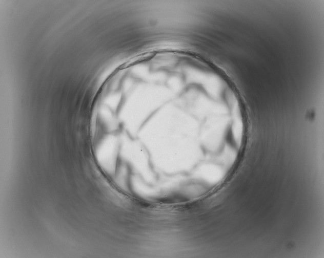 X0000111681473200908281123