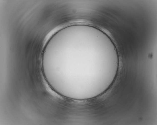 X0000111681474200908281123