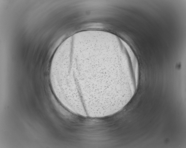 X0000111681475200908281123